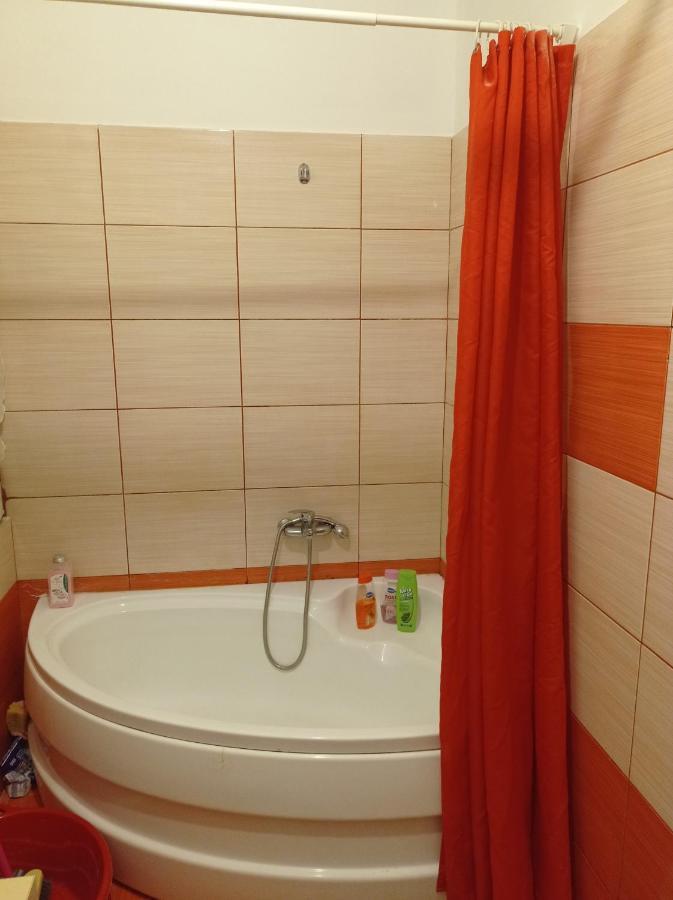Bed and Breakfast Apartament Флорешть Екстер'єр фото